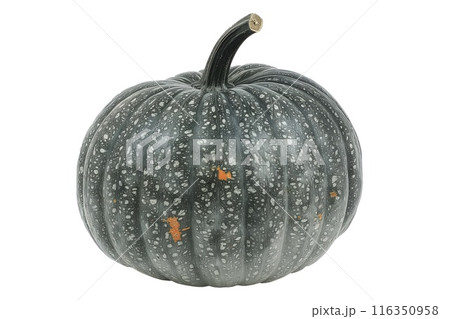 Connecticut pumpkin with a green stem isolated on a white background 116350958