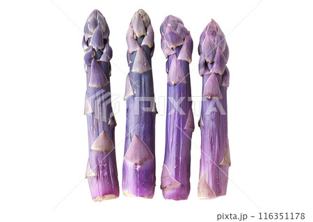 Fresh purple asparagus spears isolated on a white background 116351178