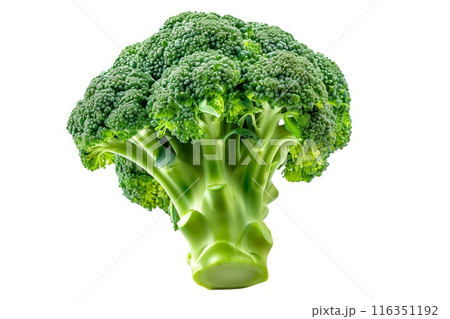 Fresh green broccoli on white background, perfect for agriculture, culinary, health, vegan recipes 116351192