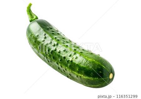 Fresh green cucumber isolated against a white background 116351299