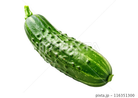 Fresh green cucumber isolated against a white background 116351300