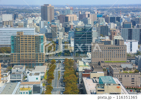 【千葉県千葉市】上空から見た市街地の街並み風景 【千葉県千葉市】上空から見た市街地の街並み風景 116351365