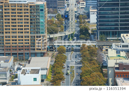 【千葉県千葉市】上空から見た市街地の街並み風景 【千葉県千葉市】上空から見た市街地の街並み風景 116351394