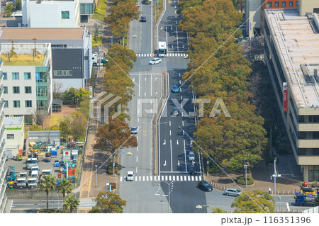 【千葉県千葉市】上空から見た市街地の街並み風景 116351396