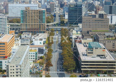 【千葉県千葉市】上空から見た市街地の街並み風景 116351401
