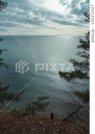 A serene view of a calm ocean under a cloudy sky, framed by pine trees on a cliff edge. The water reflects the muted light, creating a tranquil atmosphere. A serene view of a calm ocean under a cloudy sky, framed by pine trees on a cliff edge. The water reflects the muted light, creating a tranquil atmosphere. 116351427