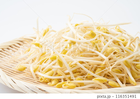 豆もやしのクローズアップ 豆もやしのクローズアップ 116351491