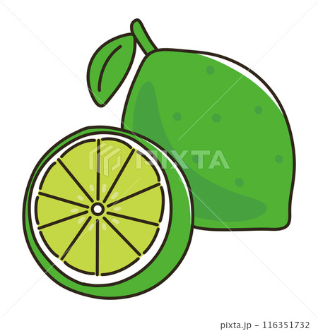 ライム ライム 116351732