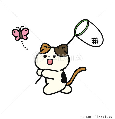 虫取りをする可愛い猫 116351955