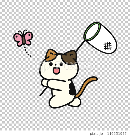 虫取りをする可愛い猫 116351955