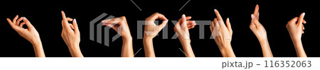 Set of woman hands showing different gestures, pointing and showing signs Set of woman hands showing different gestures, pointing and showing signs 116352063