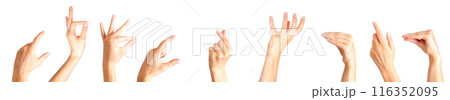 Set of woman hands showing different gestures, pointing and showing signs 116352095