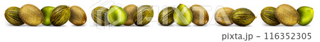Group of melons and pomelo isolated on white background 116352305