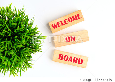 Welcome on Board on wooden blocks on a white background with a green plant out of focus Welcome on Board on wooden blocks on a white background with a green plant out of focus 116352319