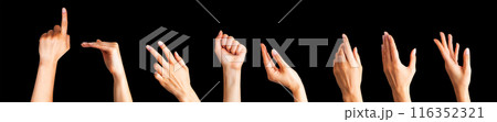 Set of woman hands showing different gestures, pointing and showing signs Set of woman hands showing different gestures, pointing and showing signs 116352321