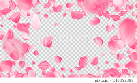 Delicate pink swirl of rose petals. Realistic flower petals bg. Delicate pink swirl of rose petals. Realistic flower petals bg. 116352389