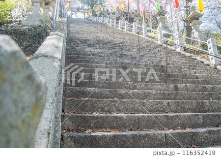 故郷の裏路地　人通りの少ない道　階段の続く道に誘われて 116352419