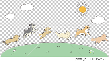 Illustration set of dogs running on the grassland 116352470