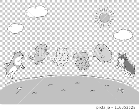 狗在草地上跳躍的插圖集 116352528