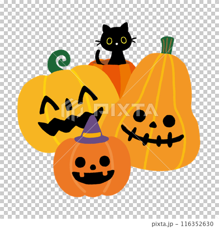 ハロウィンのカボチャと黒猫のイラスト 116352630