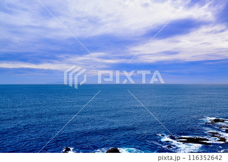 三浦半島　城ヶ島海岸の風景 116352642
