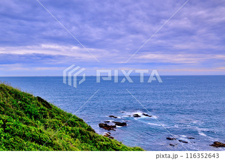 三浦半島　城ヶ島海岸の風景 116352643