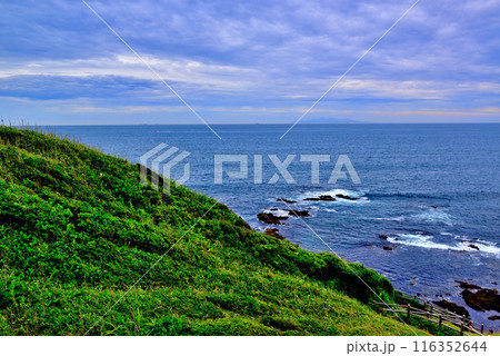 三浦半島　城ヶ島海岸の風景 116352644