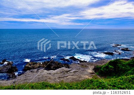 三浦半島　城ヶ島海岸の風景 116352651