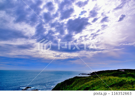 三浦半島　城ヶ島海岸の風景 116352663