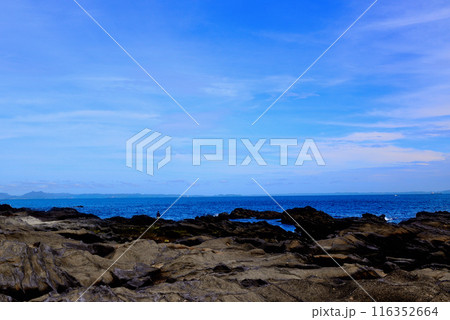 三浦半島 城ヶ島海岸の風景 三浦半島 城ヶ島海岸の風景 116352664