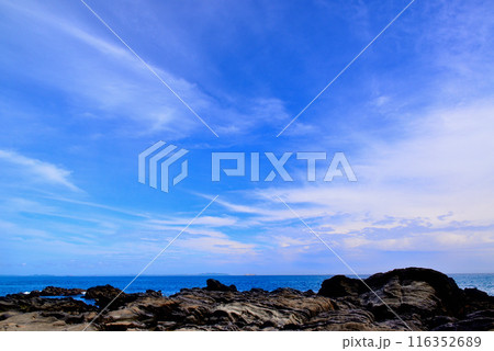 三浦半島 城ヶ島海岸の風景 三浦半島 城ヶ島海岸の風景 116352689