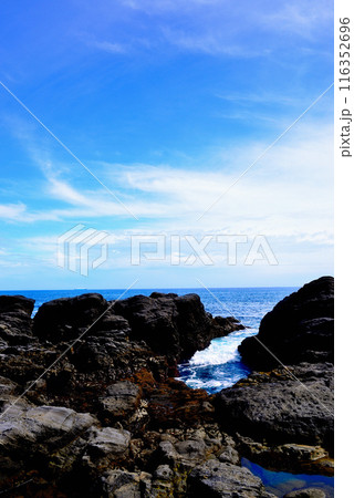 三浦半島　城ヶ島海岸の風景 116352696