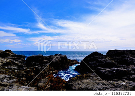 三浦半島 城ヶ島海岸の風景 三浦半島 城ヶ島海岸の風景 116352723