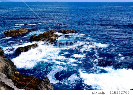 三浦半島 城ヶ島海岸の風景 三浦半島 城ヶ島海岸の風景 116352763