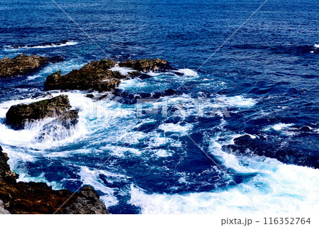 三浦半島　城ヶ島海岸の風景 116352764