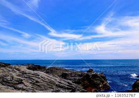 三浦半島　城ヶ島海岸の風景 116352767