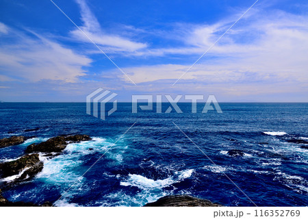 三浦半島　城ヶ島海岸の風景 116352769