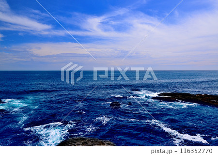 三浦半島　城ヶ島海岸の風景 116352770