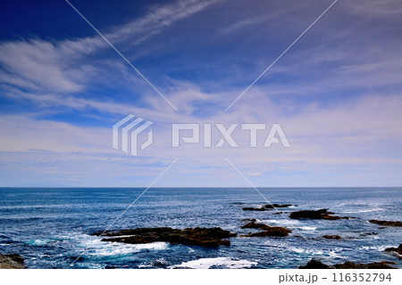 三浦半島　城ヶ島海岸の風景 116352794