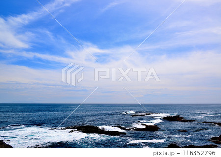 三浦半島　城ヶ島海岸の風景 116352796