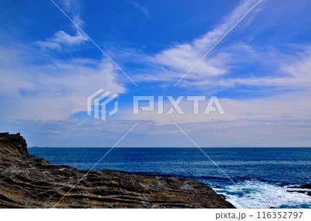 三浦半島　城ヶ島海岸の風景 116352797