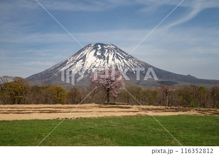 早春のニセコ風景 116352812