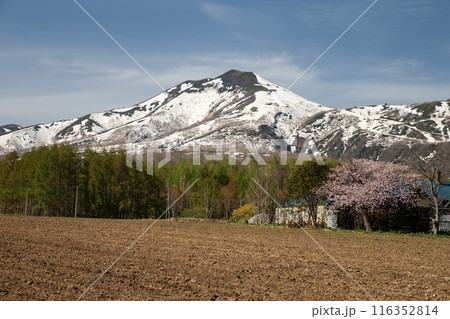 早春のニセコ風景 116352814