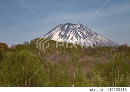早春のニセコ風景 早春のニセコ風景 116352816