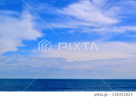 三浦半島 城ヶ島海岸の風景 三浦半島 城ヶ島海岸の風景 116352823