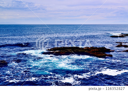 三浦半島　城ヶ島海岸の風景 116352827