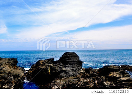 三浦半島　城ヶ島海岸の風景 116352836