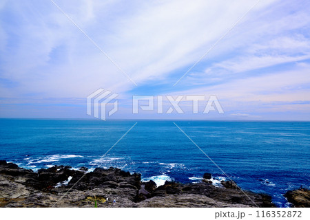 三浦半島　城ヶ島海岸の風景 116352872