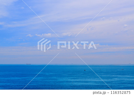 三浦半島　城ヶ島海岸の風景 116352875