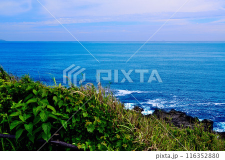 三浦半島　城ヶ島海岸の風景 116352880